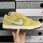 Nike Skate Shoes