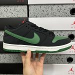 Nike Skate Shoes