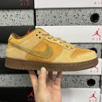 Nike Skate Shoes