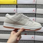 Nike Skate Shoes