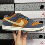 Nike Skate Shoes