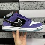 Nike Skate Shoes