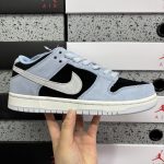 Nike Skate Shoes