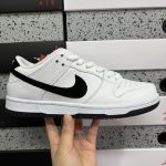 Nike Skate Shoes