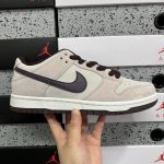 Nike Skate Shoes