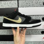 Nike Skate Shoes