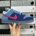 Nike Skate Shoes