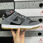 Nike Skate Shoes