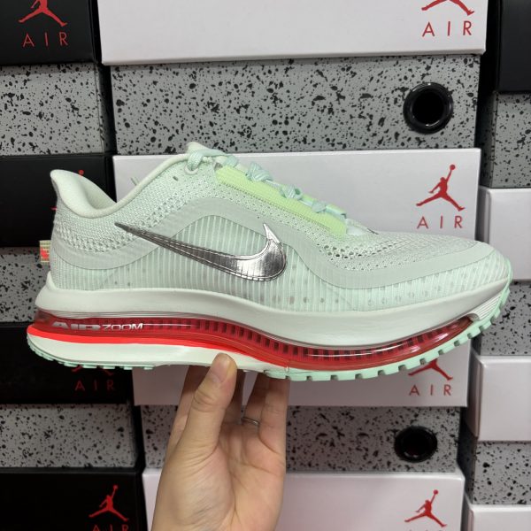 Nike Pegasus Running