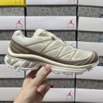Salomon Running Shoes