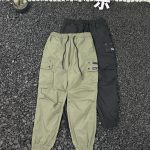 Patagonia Trousers Green Lace
