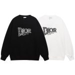 Dior Hoodies Ash Silk