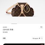 Louis Vuitton Canvas Bag Red Autumn Early Side Pockets
