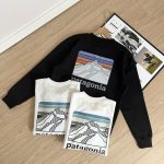 Patagonia Hoodie Ash Cotton Soft And Gentle Spring Autumn Winter Crisp Silhouette