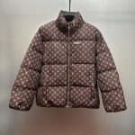 Louis Vuitton Nylon Down Jacket For Fall