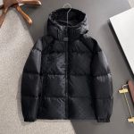 Louis Vuitton Down Jacket Red Goose Duck Nylon Jacquard Premium Quality Zippered Pocket