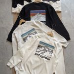 Patagonia Hoodie Ash Cotton Soft And Gentle Spring Autumn Winter Crisp Silhouette