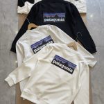 Patagonia Sweatshirt Ash Cotton Spring Autumn Winter Crisp Silhouette