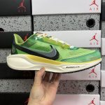Nike Pegasus Mesh Running Breathable