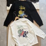 Stussy Hoodie Ash Cotton Spring Autumn Winter Crisp Silhouette