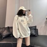 Loewe Hoodies Color Fleece Fabric Autumn Winter And Embroidery 3D