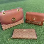 Coach Chain Bag Camel