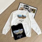 The North Face Hoodie Ash Cotton Soft And Gentle Spring Autumn Winter Crisp Silhouette