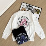 The North Face Hoodie Ash Cotton Soft And Gentle Spring Autumn Winter Crisp Silhouette