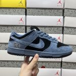 Nike Skate Shoes Blue