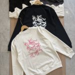 Archaeopteryx Hoodie Ash Cotton Soft And Gentle Spring Autumn Winter Crisp Silhouette