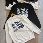 Archaeopteryx Hoodie Ash Cotton Spring Autumn Winter