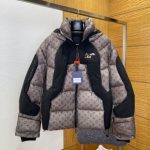 Louis Vuitton Outerwear Red Goose Down