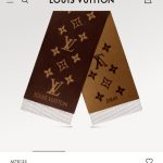Louis Vuitton Scarf Ash Cashmere Autumn Winter And