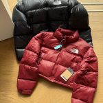 The North Face Down Jacket Red Duck Embroidery