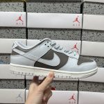 Nike Sb Dunk White