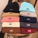 Archaeopteryx Beanie