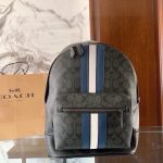 Coach Backpack Blue Simple And Elegant