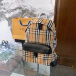 Burberry Backpack Red Daily Commute