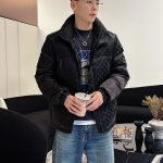 Louis Vuitton Down Jacket Color Feather Goose