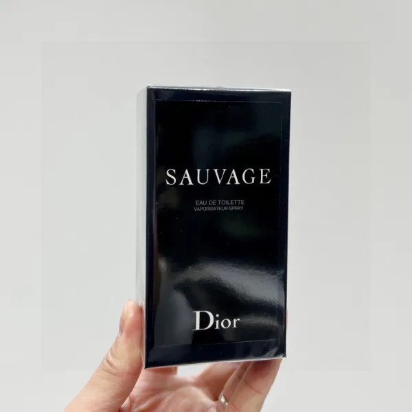 Dior Pen Red Male