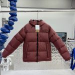 The North Face Down Jacket Red Gore-Tex