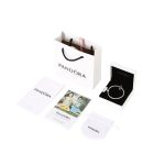 Pandora Bracelet