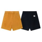 Stussy Shorts Brown