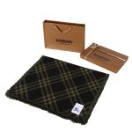Burberry Scarf Green Cashmere Daily Commute Autumn Winter