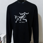 Archaeopteryx Long-Sleeved T-Shirt Red Cotton Pure Strict Quality Control Autumn Winter